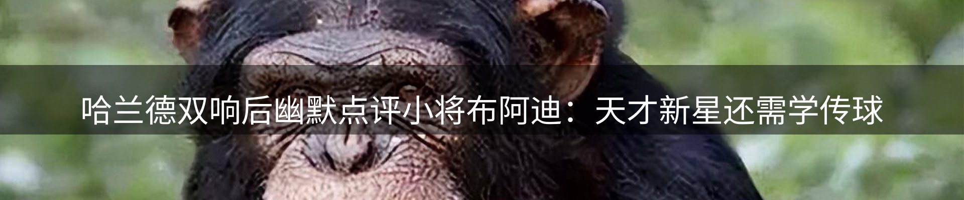 新闻趋势